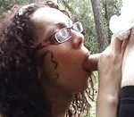 imagen sexo cerdo en un bosque